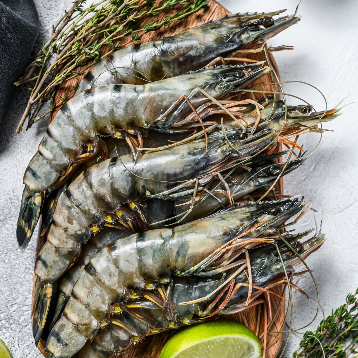 Black Tiger Shrimps