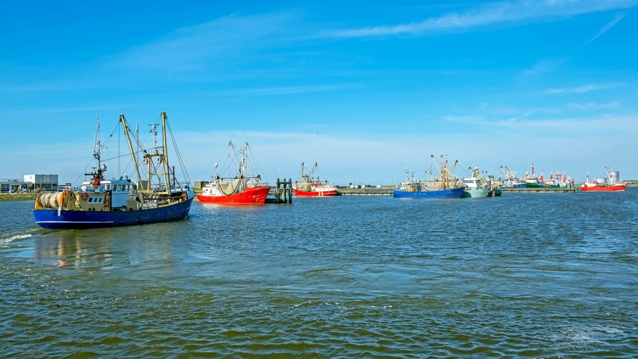 Fishing method and processing of the Dutch shrimp