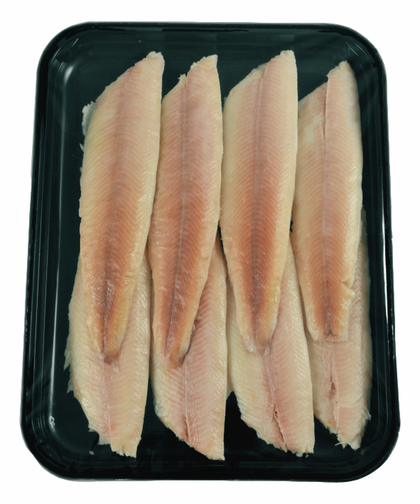 Noord Amerika Ingrijpen Somatische cel Zeeforel of kweekforel? Forel is een super populaire vis!