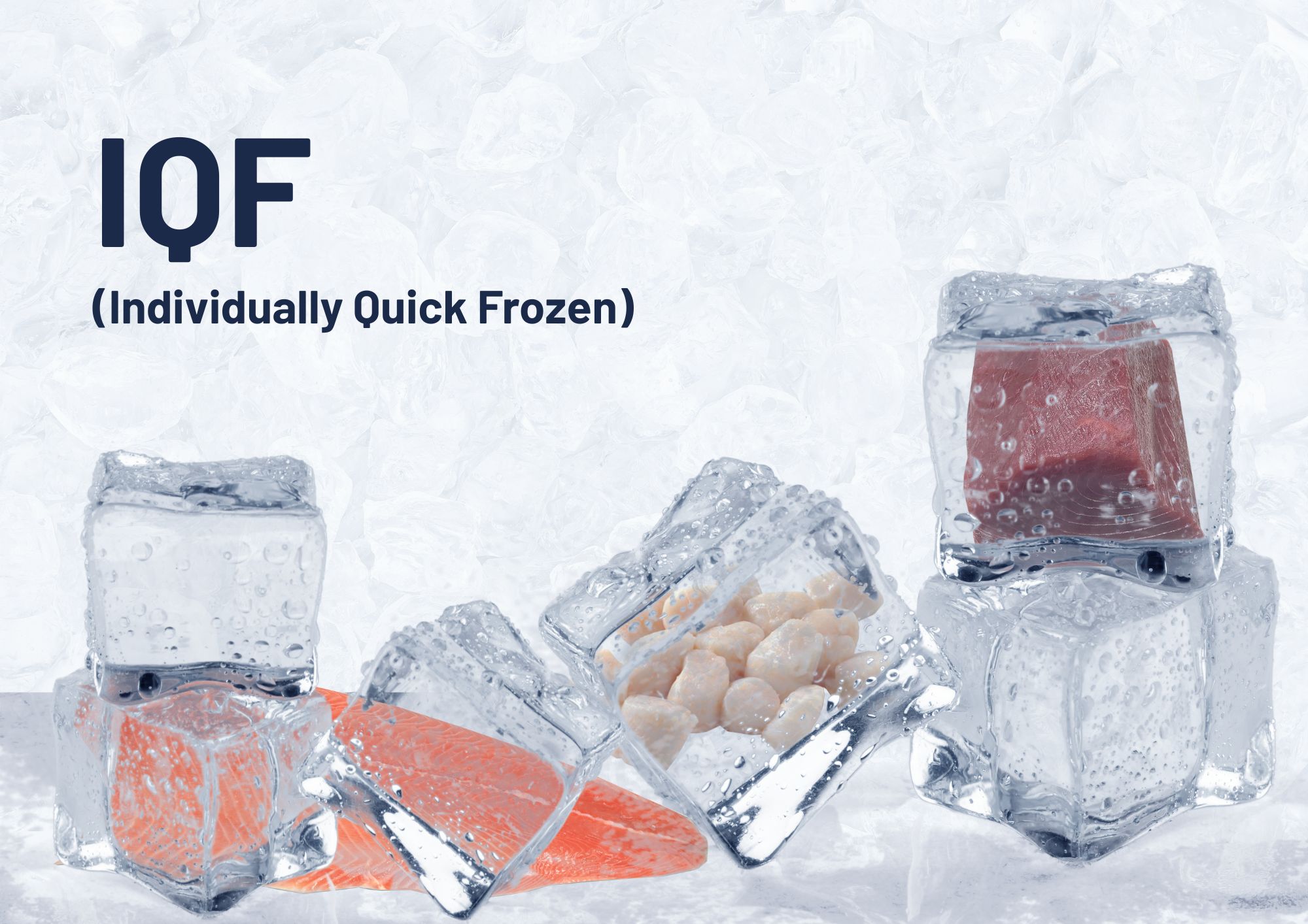What is IQF and why is it so important in the frozen food industry?