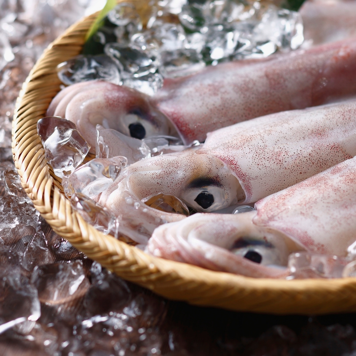 Squid, Octopus and Sepia