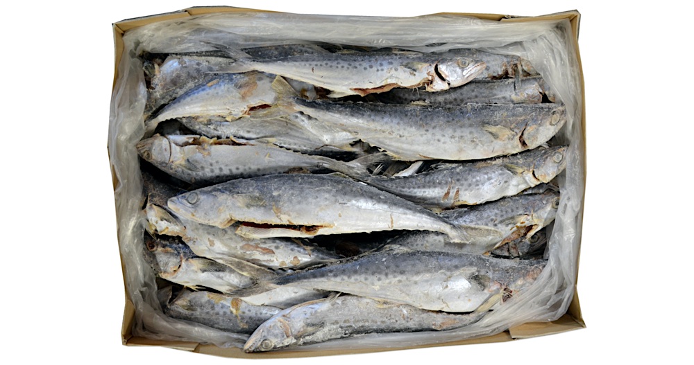pil Rechtdoor neus Surinaamse vissoorten; wat is de meest populaire gerookte en droge vis?