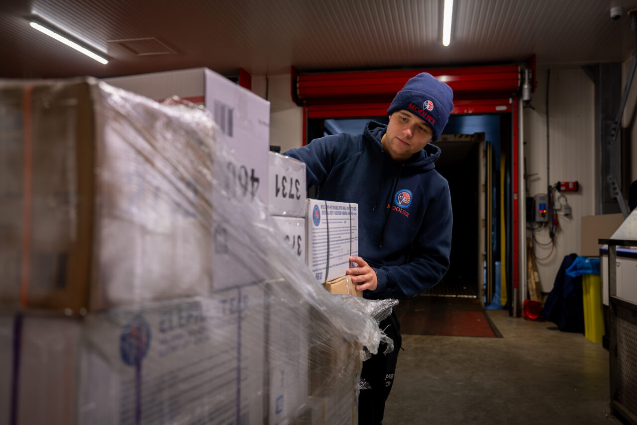 medewerker van mooijer die in de diepvries alle taken regelt. Hij pickt een order en checkt of alle producten op de pallet staan, voordat deze het magazijn verlaat.