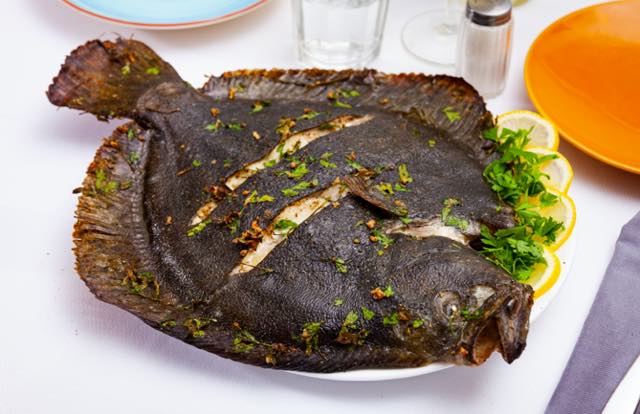 Baking or grilling turbot