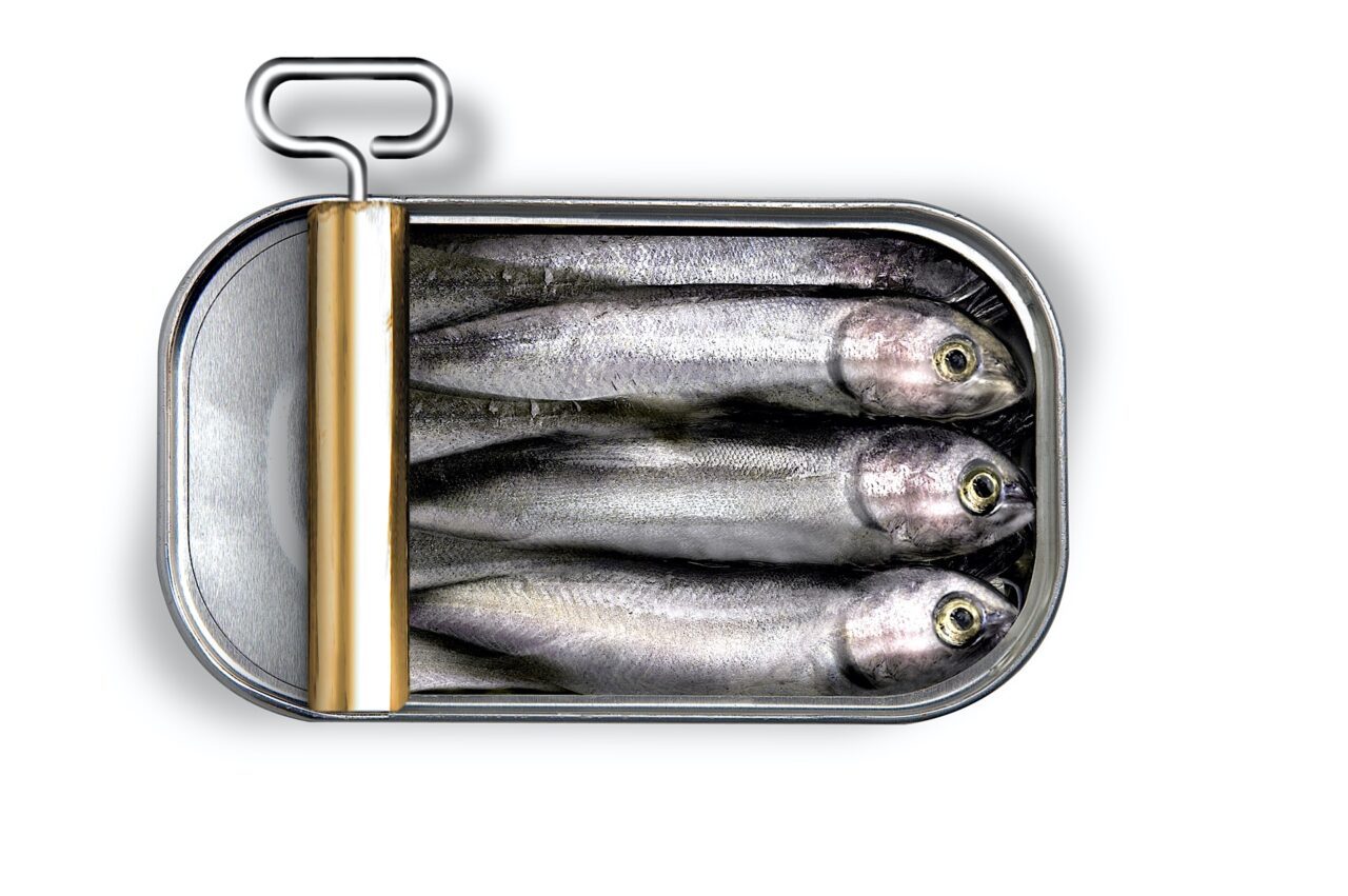 Today, canned sardines are still a top-rated product. 