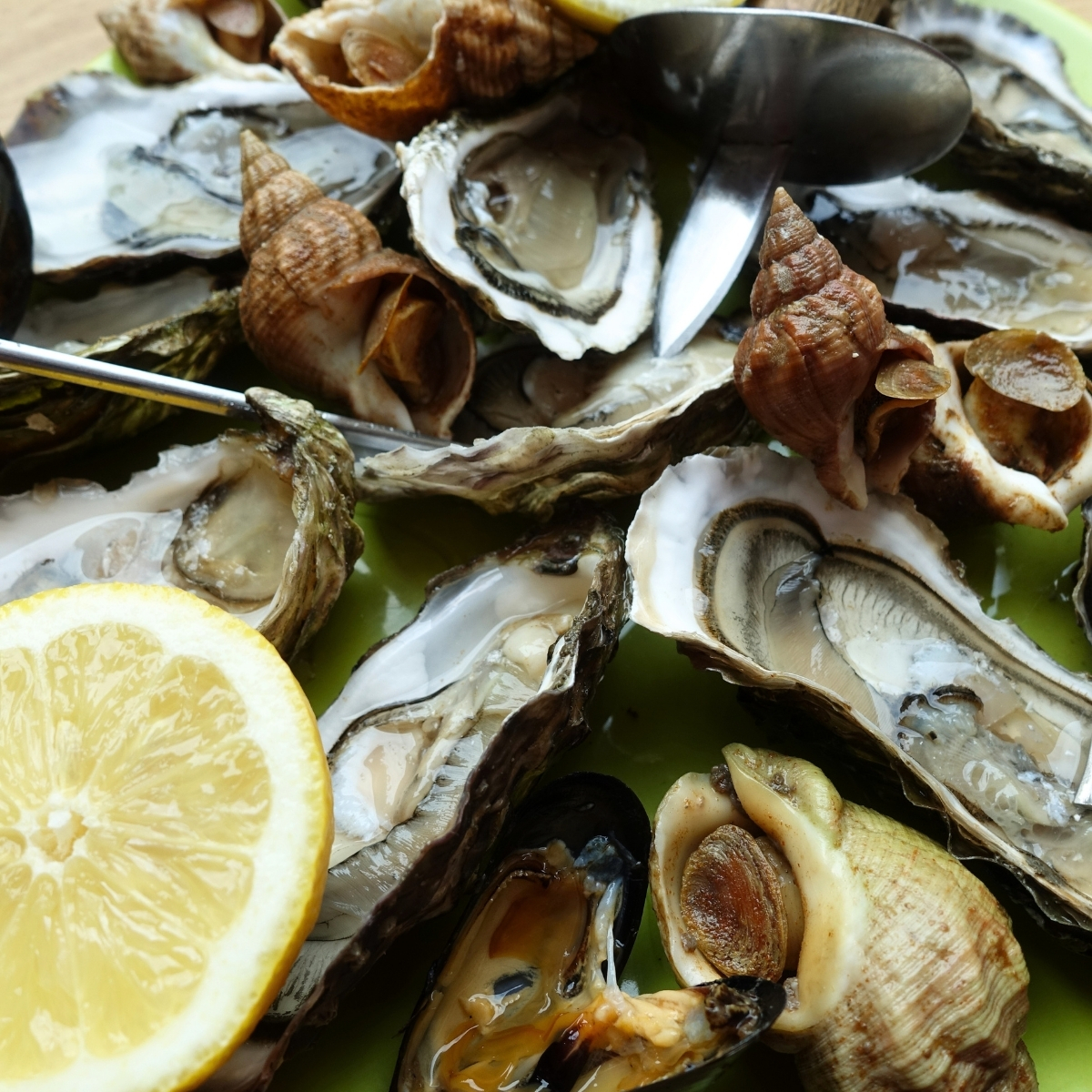 Moules et huîtres fraîches