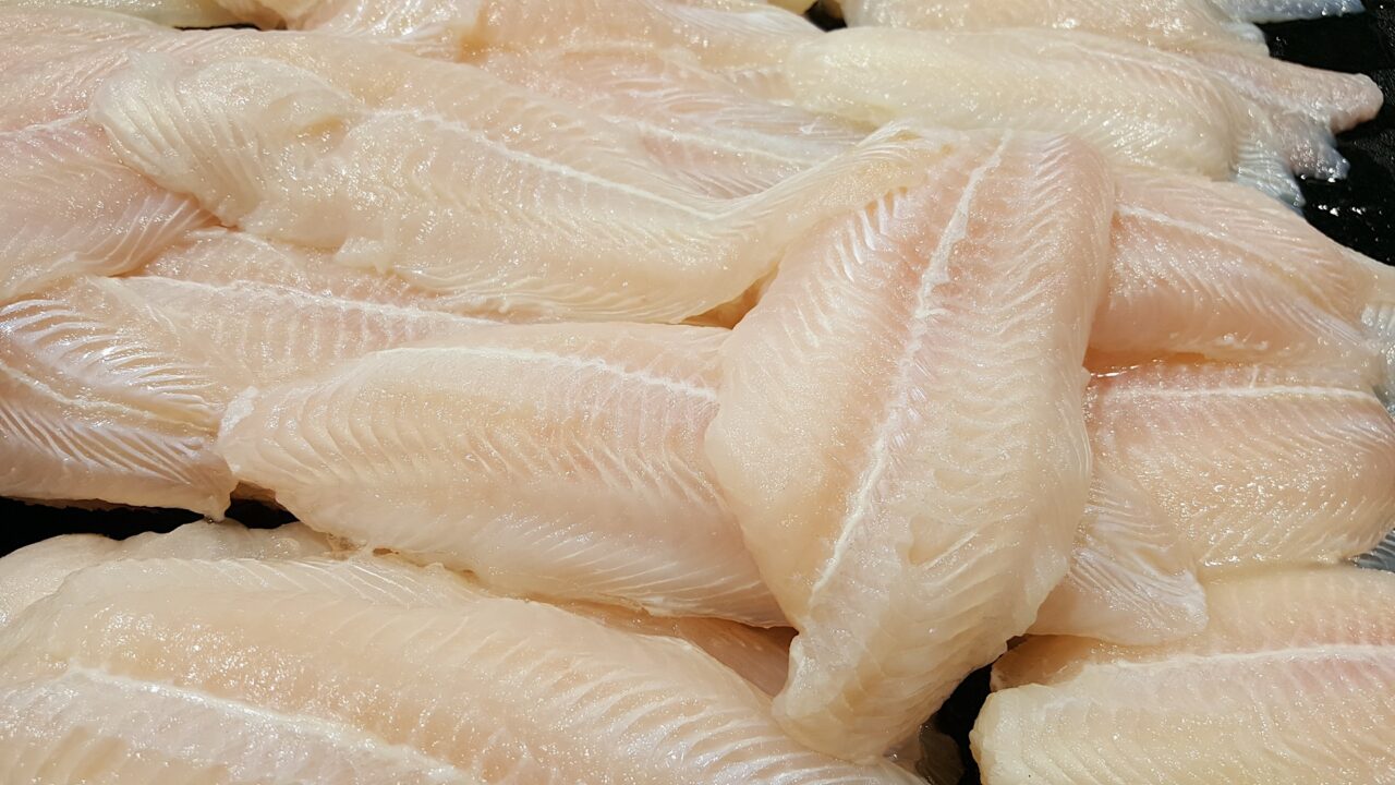 Why pangasius is a sustainable fish
