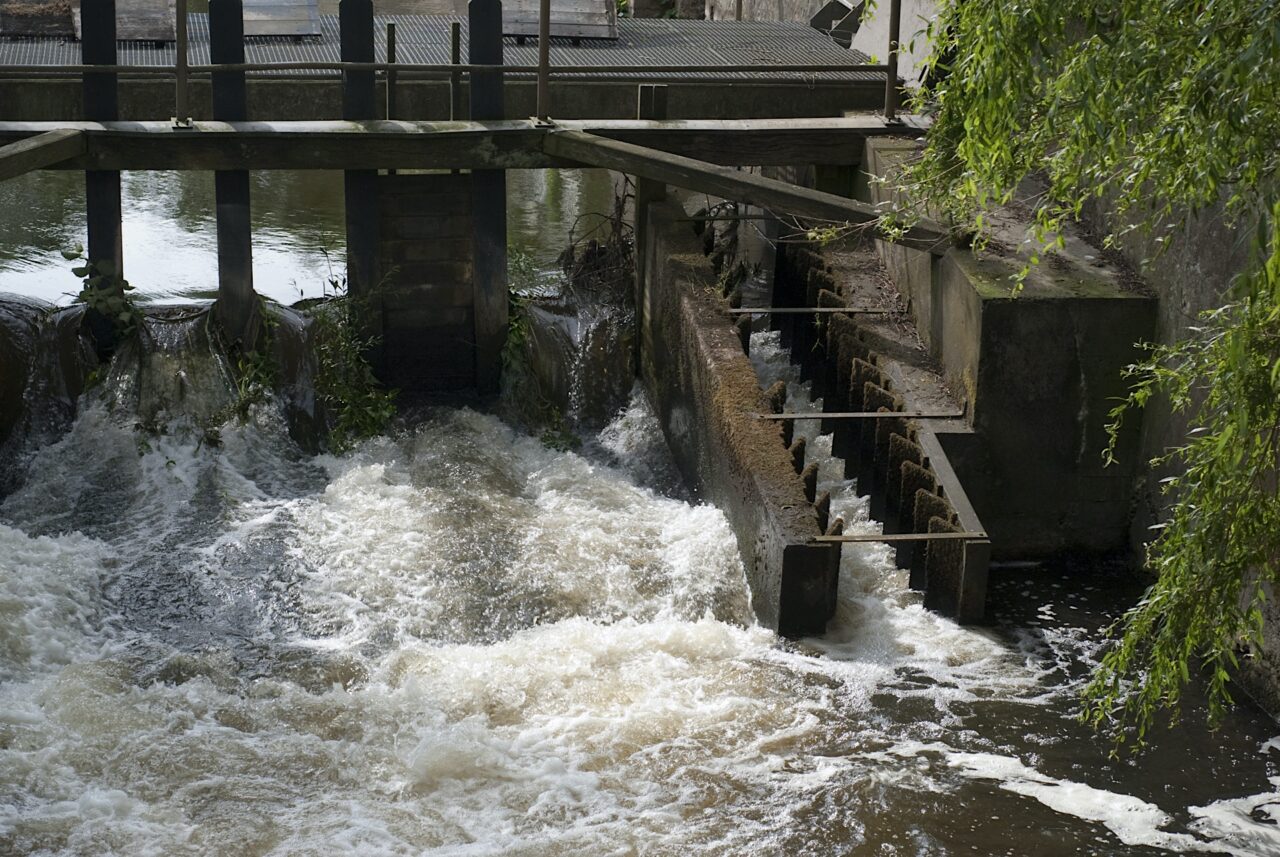 Es gibt verschiedene Techniken für eine Fischtreppe, abhängig von der Fischart/den Fischarten in dieser Umgebung.