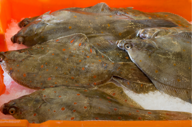 Plaice: frozen or fresh?