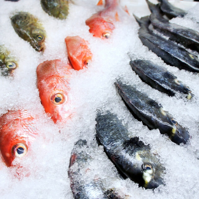 Diverse diepvries vis zoals dorade, roodbaars en kabeljauw.