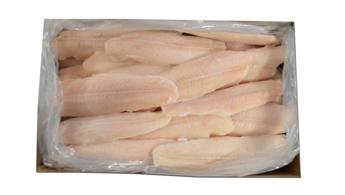 Pangasius Filet  120/170