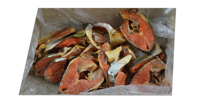 Cou de Saumon