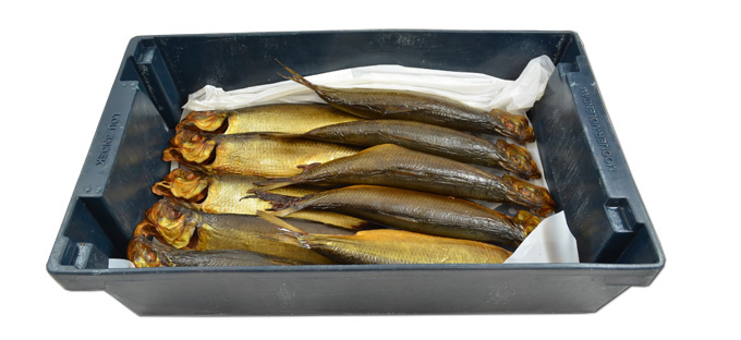 Msc Smoked Herring