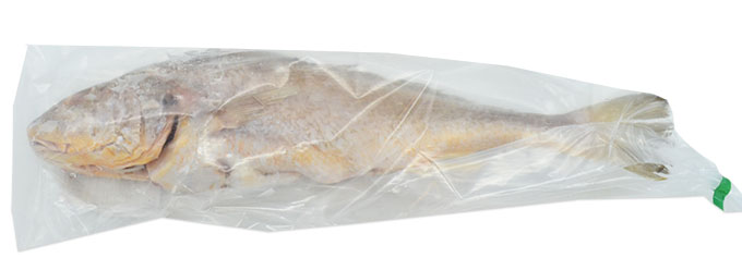 Weißmaul-Umberfisch (Croaker)  800/+