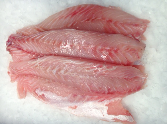 Nile Perch Fillets  300/500