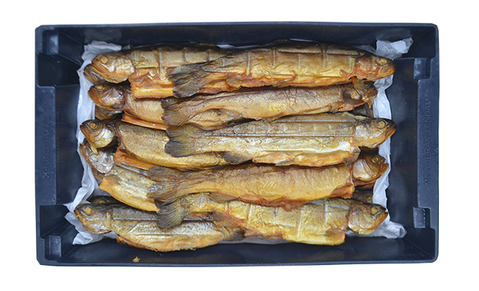 Rainbow Trout  15 STUKS