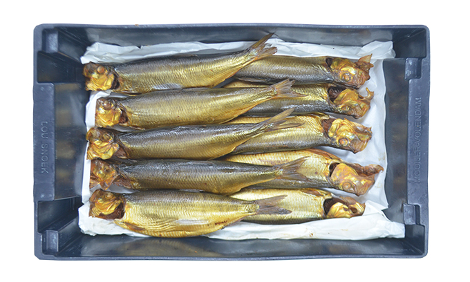 Hareng de L’Atlantique  10 ST