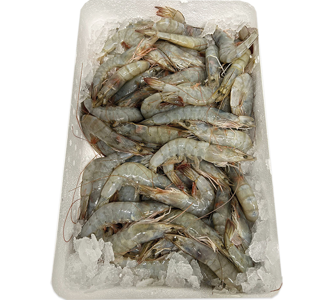 Vannamei Shrimps  30/40