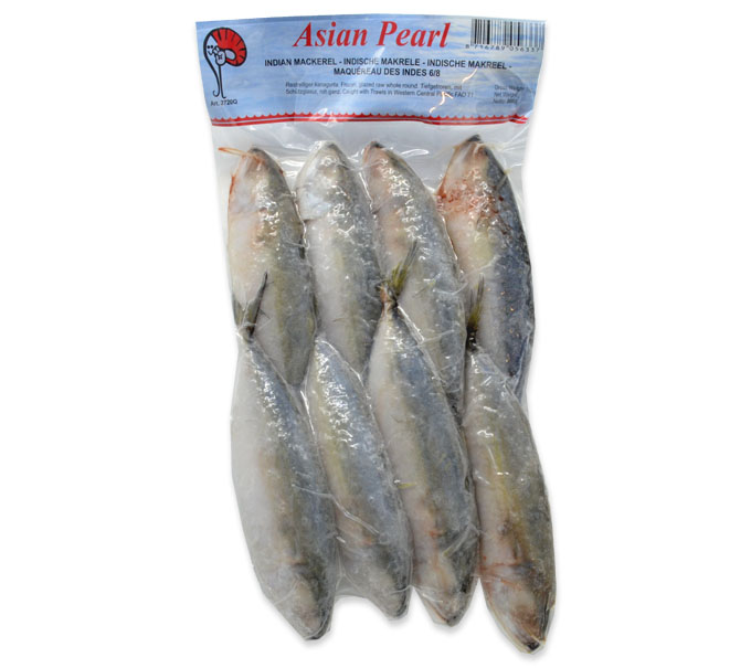 Indian mackerel  6/8