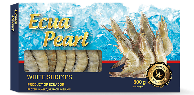 Vannamei Crevettes Ecuador  10/20