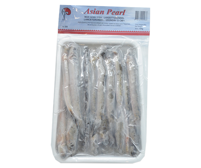 Mud Goby Fish  12 CM/+
