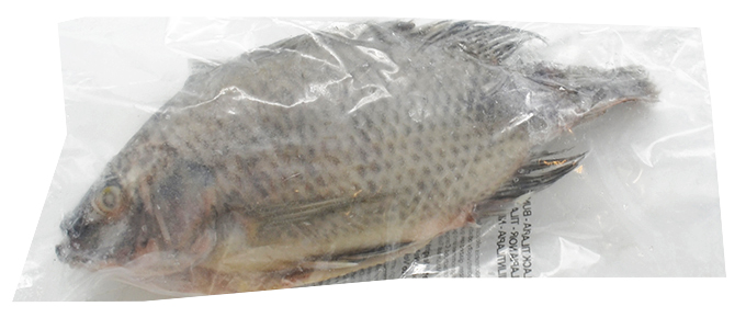 Tilapia  300/500