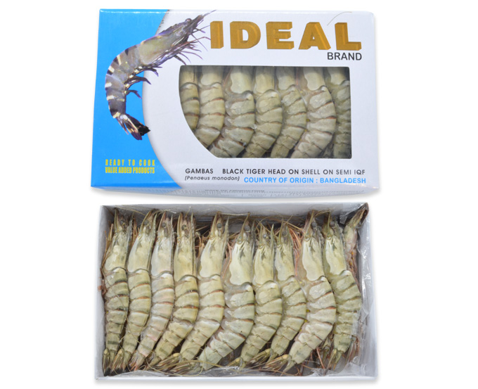 Black Tiger Shrimps  16/20