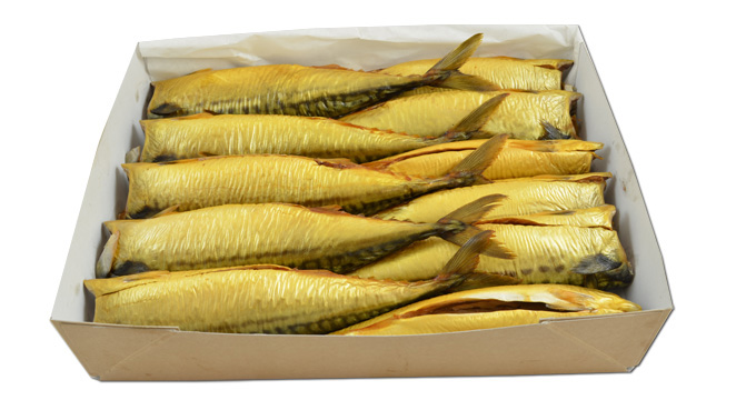 Mackerel Headless  10/11 ST