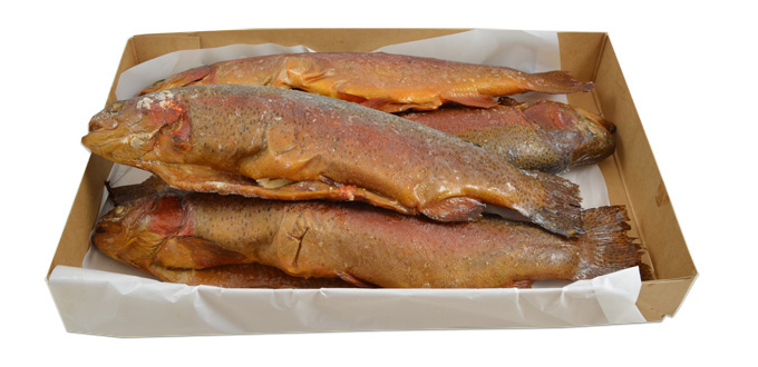 Rainbow Trout  500/1000 G