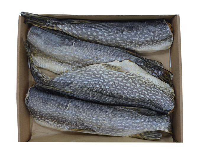 Brochet