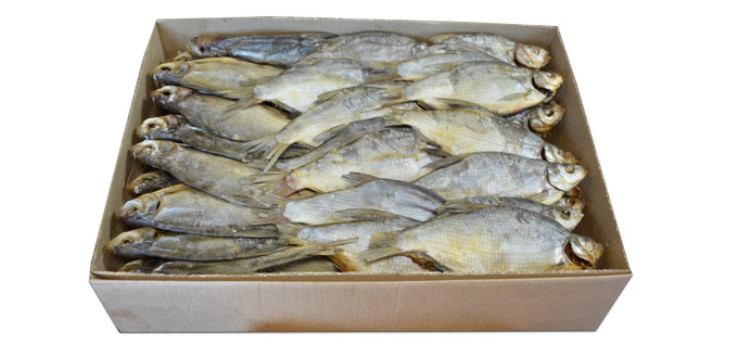 Freshwater bream  18/+ CM