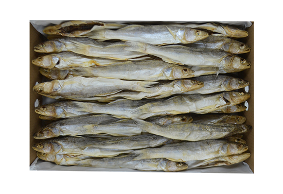 Snoekbaars  300/700g