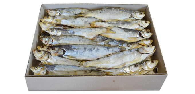 Asp (Zherekh)  500/1000g