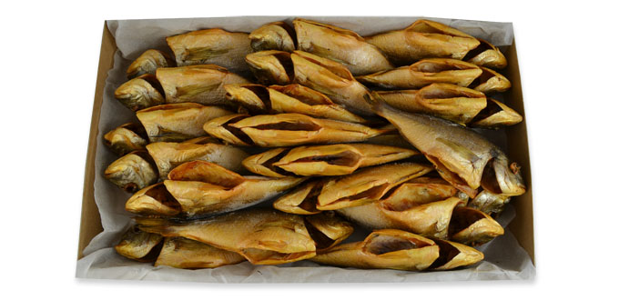 Dorade Royal  200/300