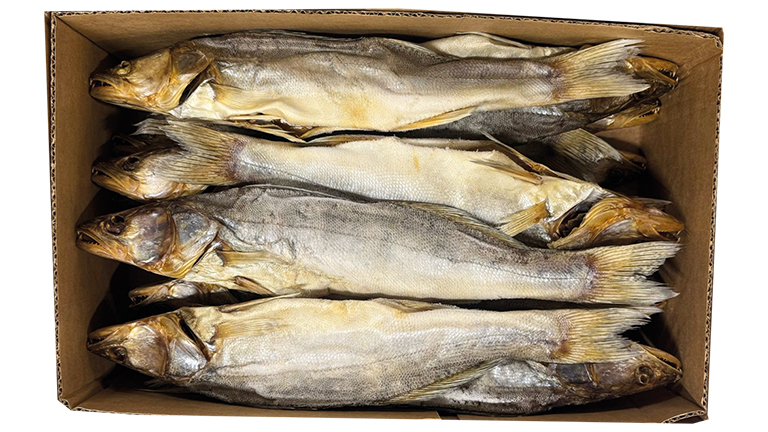 Perche Brochet  300/400 G