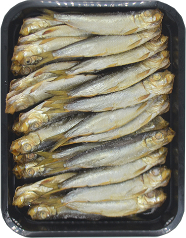 Baltic Herring