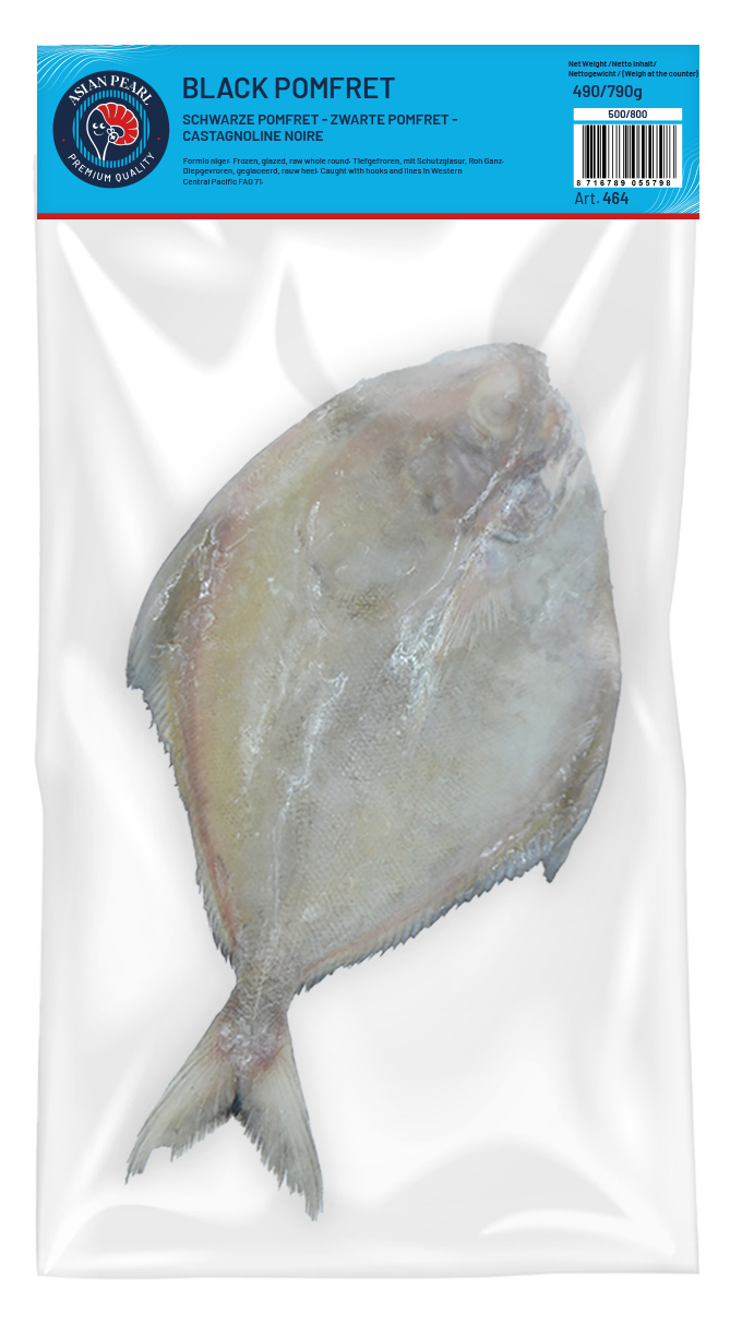 Schwarze Pomfret  500/800