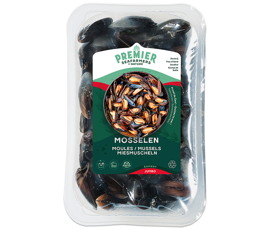 Muscheln Premier “Jumbo”  JUMBO