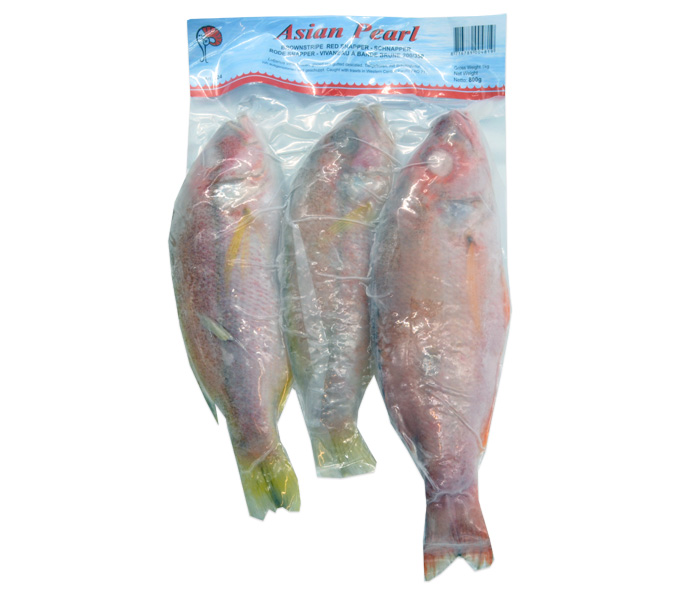 Red Snapper  300/800