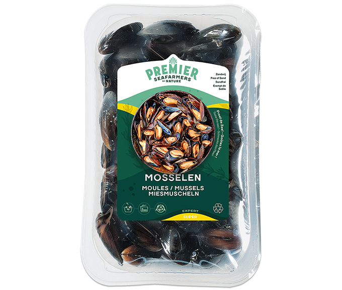 Muscheln Premier “Super”  SUPER