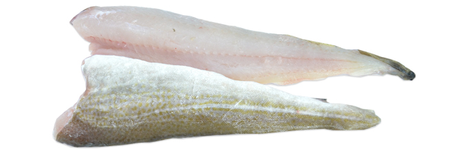 Cod Fillets  200/400