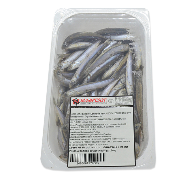 Anchois