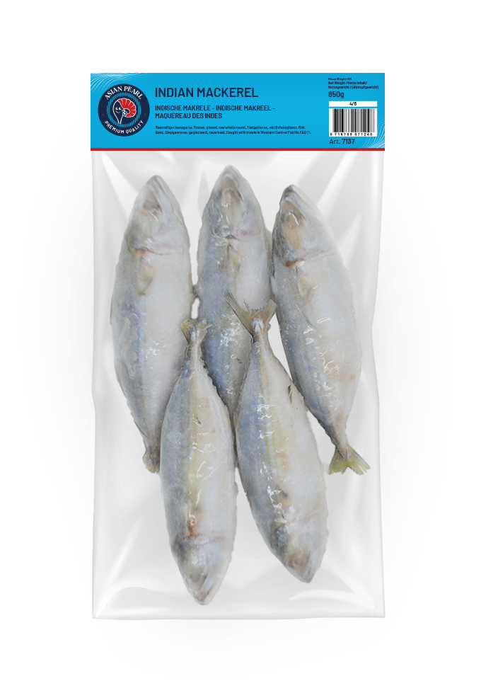 Indian Mackerel  4/6