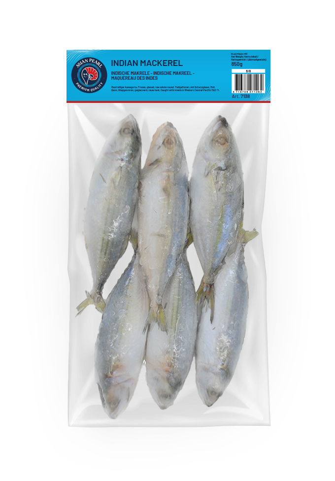 Indian Mackerel  6/8