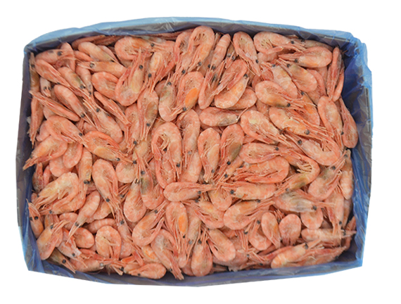 Crevettes Pandalides  120/+