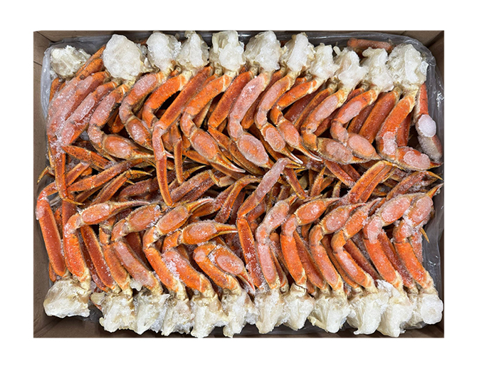 Sneeuwkrabclusters  5-8