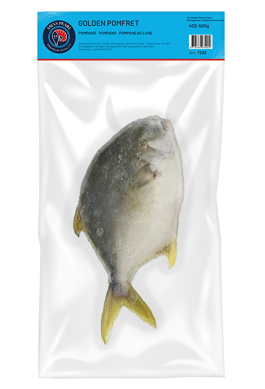 Pompano  400/500