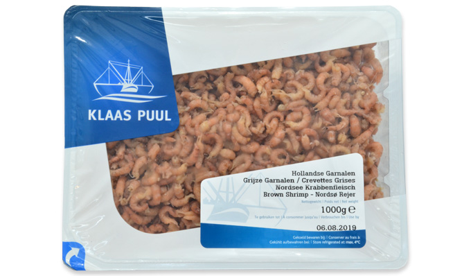 Common Shrimp Northsea (Klaas Puul)  Extra