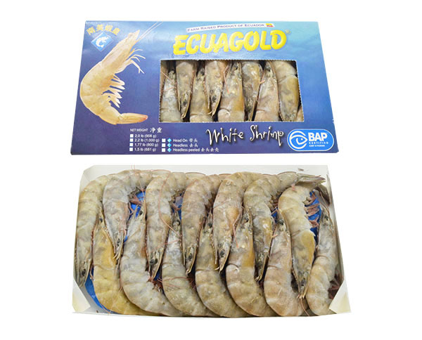Vannamei shrimps Ecuador  10/20
