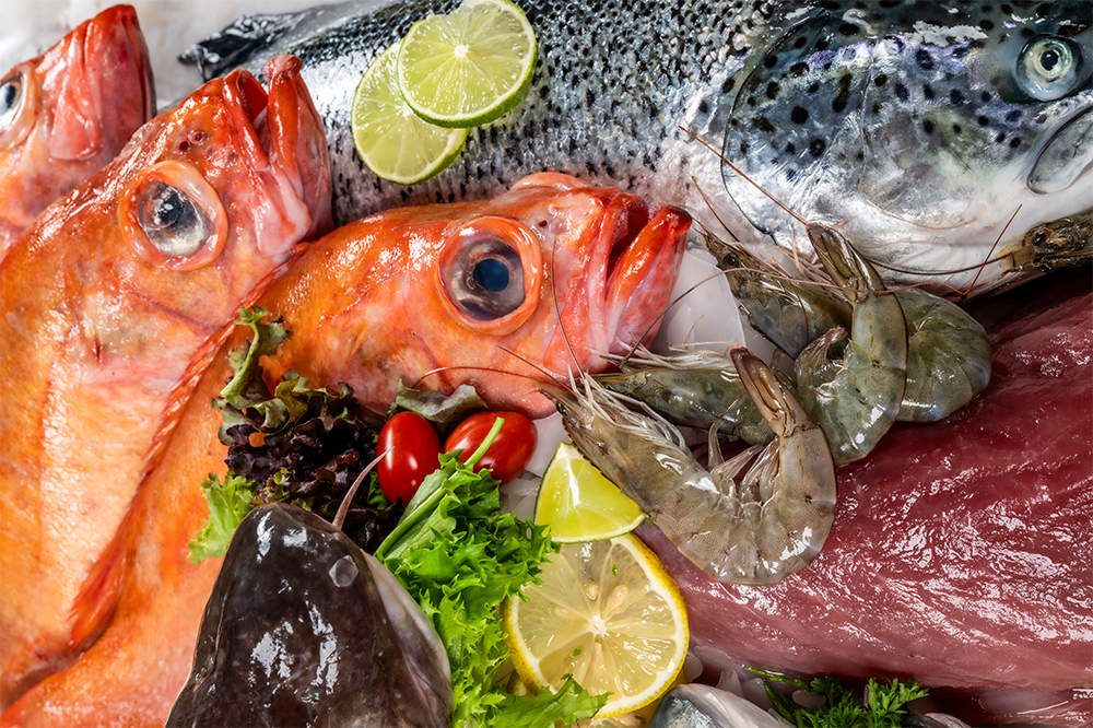 FAQ zur Lagerung und Zubereitung von Fisch